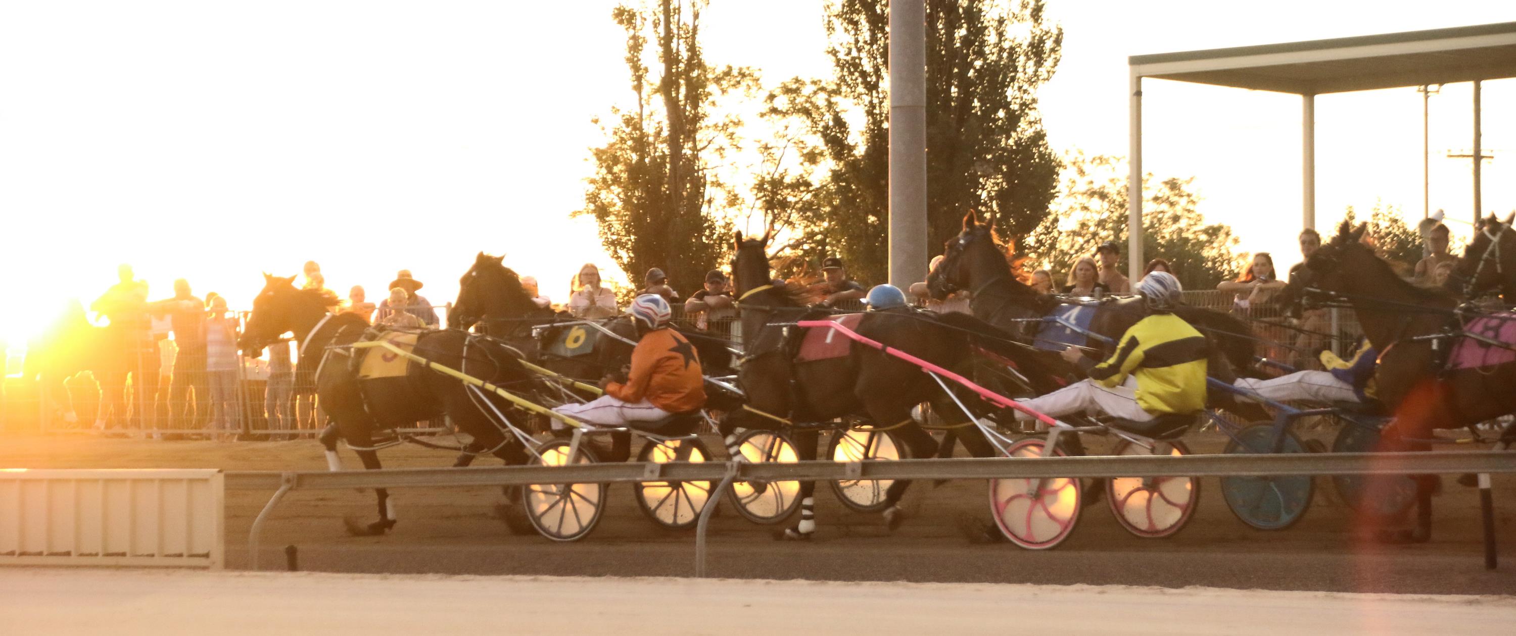 Ashark to the fore for rookie trainer Melanie Elder