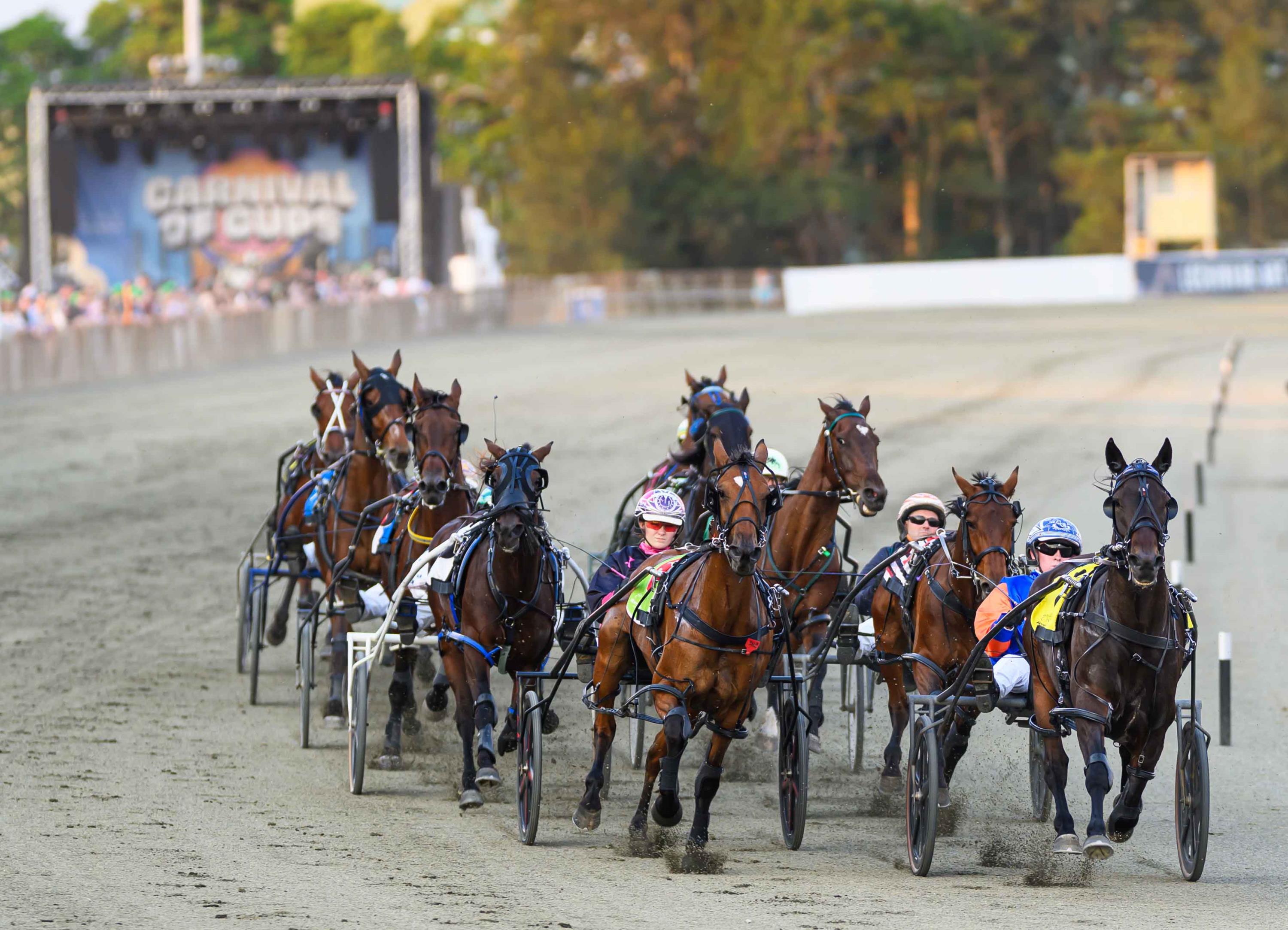 Bonus points system to supercharge Carnival of Cups